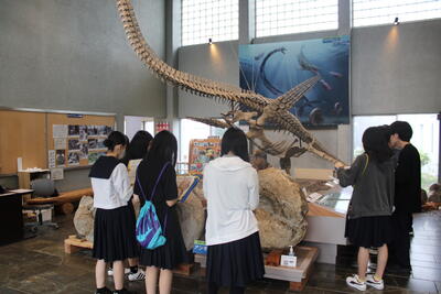 海洋化石館見学